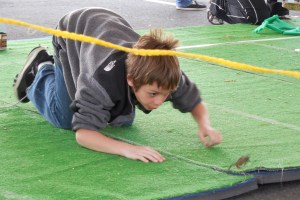 Looks like a winner!